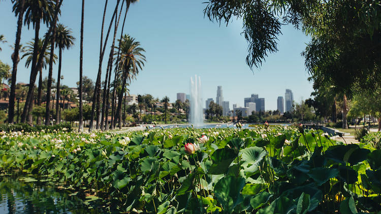 Echo Park, Los Angeles Guide of Cool Things to Do